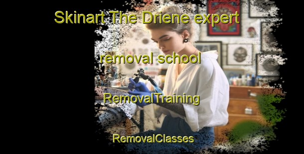 Skinart The Driene expert removal school | RemovalTraining | RemovalClasses | SkinartTraining-Netherlands