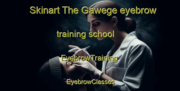 Skinart The Gawege eyebrow training school | EyebrowTraining | EyebrowClasses | SkinartTraining-Netherlands