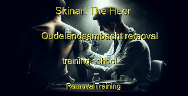 Skinart The Heer Oudelandsambacht removal training school | RemovalTraining | RemovalClasses | SkinartTraining-Netherlands