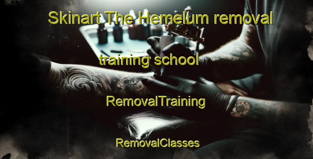 Skinart The Hemelum removal training school | RemovalTraining | RemovalClasses | SkinartTraining-Netherlands