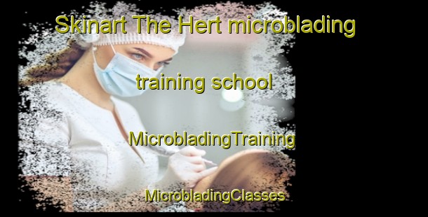 Skinart The Hert microblading training school | #MicrobladingTraining #MicrobladingClasses #SkinartTraining-Netherlands