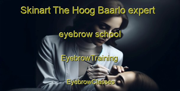Skinart The Hoog Baarlo expert eyebrow school | EyebrowTraining | EyebrowClasses | SkinartTraining-Netherlands