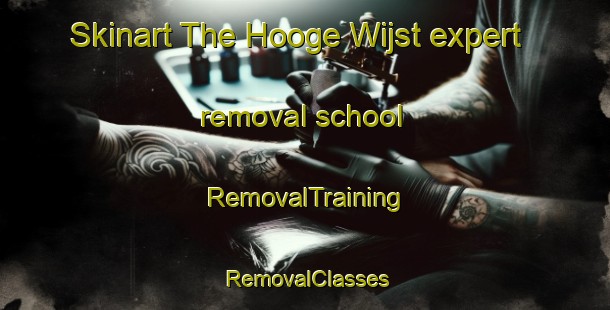Skinart The Hooge Wijst expert removal school | RemovalTraining | RemovalClasses | SkinartTraining-Netherlands