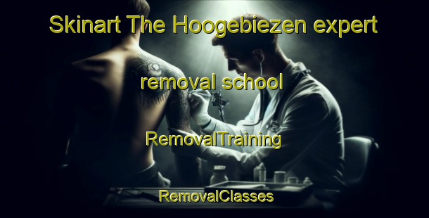 Skinart The Hoogebiezen expert removal school | RemovalTraining | RemovalClasses | SkinartTraining-Netherlands