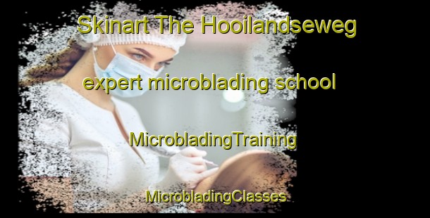 Skinart The Hooilandseweg expert microblading school | #MicrobladingTraining #MicrobladingClasses #SkinartTraining-Netherlands