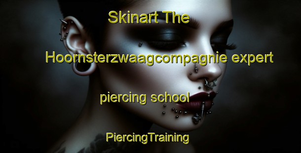 Skinart The Hoornsterzwaagcompagnie expert piercing school | #PiercingTraining #PiercingClasses #SkinartTraining-Netherlands