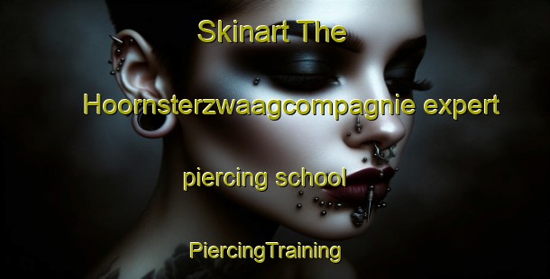 Skinart The Hoornsterzwaagcompagnie expert piercing school | PiercingTraining | PiercingClasses | SkinartTraining-Netherlands