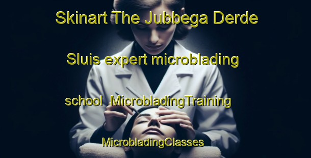 Skinart The Jubbega Derde Sluis expert microblading school | MicrobladingTraining | MicrobladingClasses | SkinartTraining-Netherlands