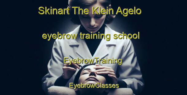 Skinart The Klein Agelo eyebrow training school | EyebrowTraining | EyebrowClasses | SkinartTraining-Netherlands