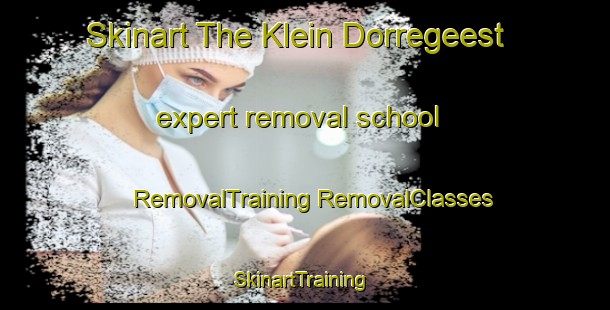 Skinart The Klein Dorregeest expert removal school | #RemovalTraining #RemovalClasses #SkinartTraining-Netherlands