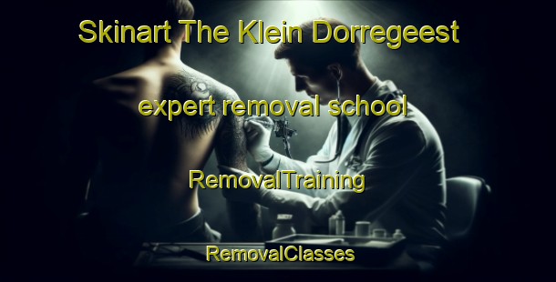 Skinart The Klein Dorregeest expert removal school | RemovalTraining | RemovalClasses | SkinartTraining-Netherlands