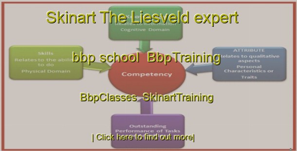 Skinart The Liesveld expert bbp school | BbpTraining | BbpClasses | SkinartTraining-Netherlands