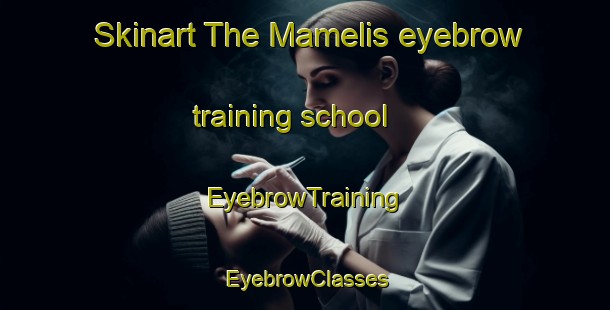 Skinart The Mamelis eyebrow training school | EyebrowTraining | EyebrowClasses | SkinartTraining-Netherlands