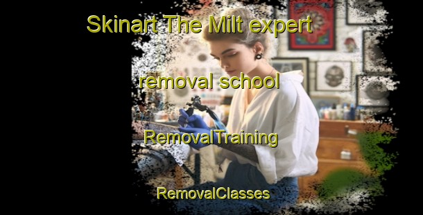 Skinart The Milt expert removal school | RemovalTraining | RemovalClasses | SkinartTraining-Netherlands