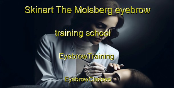 Skinart The Molsberg eyebrow training school | EyebrowTraining | EyebrowClasses | SkinartTraining-Netherlands