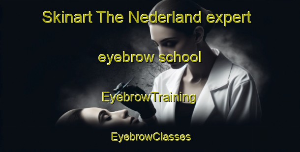 Skinart The Nederland expert eyebrow school | EyebrowTraining | EyebrowClasses | SkinartTraining-Netherlands