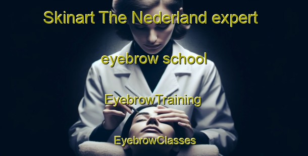 Skinart The Nederland expert eyebrow school | EyebrowTraining | EyebrowClasses | SkinartTraining-Netherlands