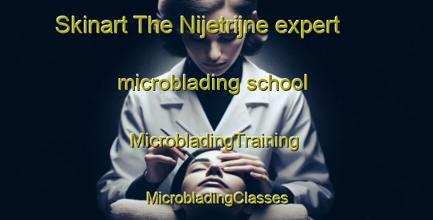 Skinart The Nijetrijne expert microblading school | #MicrobladingTraining #MicrobladingClasses #SkinartTraining-Netherlands