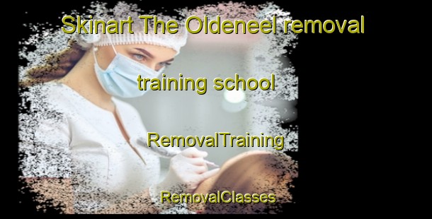 Skinart The Oldeneel removal training school | RemovalTraining | RemovalClasses | SkinartTraining-Netherlands