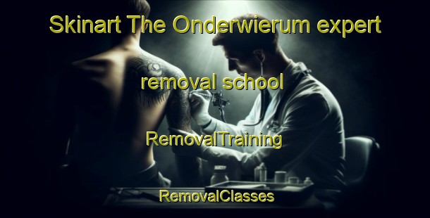 Skinart The Onderwierum expert removal school | RemovalTraining | RemovalClasses | SkinartTraining-Netherlands