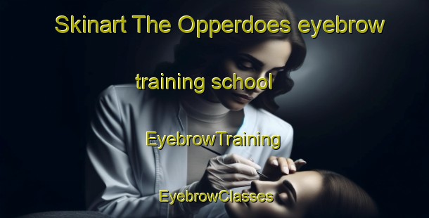 Skinart The Opperdoes eyebrow training school | EyebrowTraining | EyebrowClasses | SkinartTraining-Netherlands