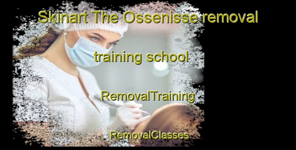 Skinart The Ossenisse removal training school | RemovalTraining | RemovalClasses | SkinartTraining-Netherlands