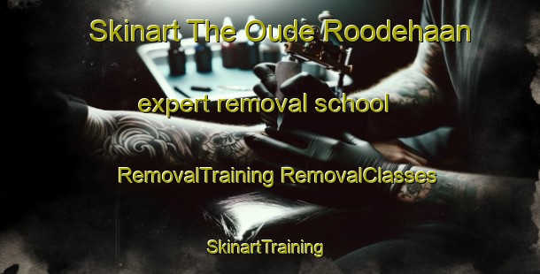 Skinart The Oude Roodehaan expert removal school | #RemovalTraining #RemovalClasses #SkinartTraining-Netherlands