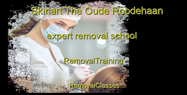 Skinart The Oude Roodehaan expert removal school | RemovalTraining | RemovalClasses | SkinartTraining-Netherlands