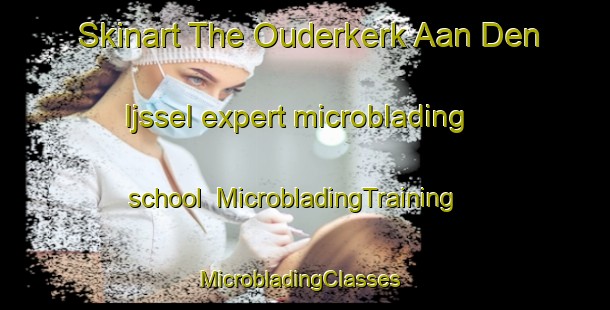 Skinart The Ouderkerk Aan Den Ijssel expert microblading school | MicrobladingTraining | MicrobladingClasses | SkinartTraining-Netherlands