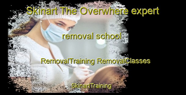 Skinart The Overwhere expert removal school | #RemovalTraining #RemovalClasses #SkinartTraining-Netherlands