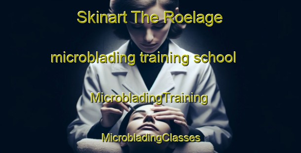 Skinart The Roelage microblading training school | #MicrobladingTraining #MicrobladingClasses #SkinartTraining-Netherlands