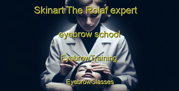 Skinart The Rolaf expert eyebrow school | EyebrowTraining | EyebrowClasses | SkinartTraining-Netherlands
