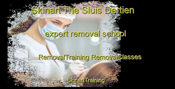 Skinart The Sluis Dertien expert removal school | #RemovalTraining #RemovalClasses #SkinartTraining-Netherlands