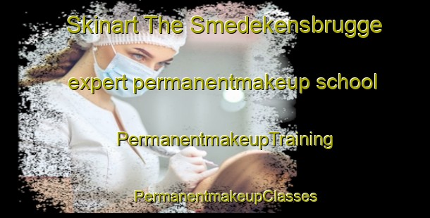 Skinart The Smedekensbrugge expert permanentmakeup school | #PermanentmakeupTraining #PermanentmakeupClasses #SkinartTraining-Netherlands