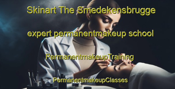Skinart The Smedekensbrugge expert permanentmakeup school | PermanentmakeupTraining | PermanentmakeupClasses | SkinartTraining-Netherlands