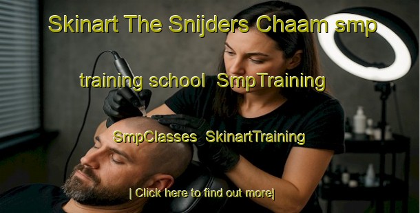 Skinart The Snijders Chaam smp training school | SmpTraining | SmpClasses | SkinartTraining-Netherlands