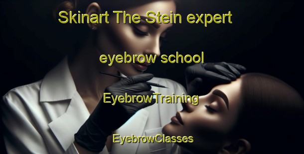 Skinart The Stein expert eyebrow school | EyebrowTraining | EyebrowClasses | SkinartTraining-Netherlands