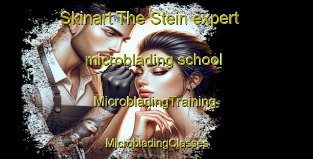 Skinart The Stein expert microblading school | #MicrobladingTraining #MicrobladingClasses #SkinartTraining-Netherlands