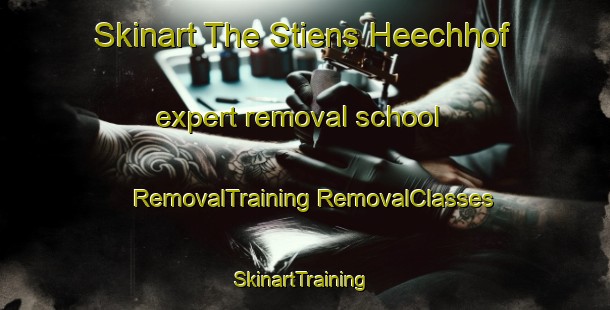 Skinart The Stiens Heechhof expert removal school | #RemovalTraining #RemovalClasses #SkinartTraining-Netherlands