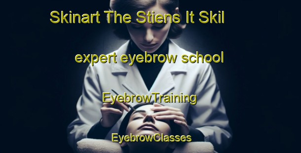 Skinart The Stiens It Skil expert eyebrow school | EyebrowTraining | EyebrowClasses | SkinartTraining-Netherlands