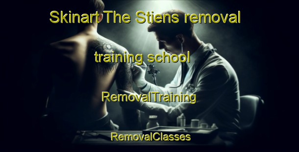 Skinart The Stiens removal training school | RemovalTraining | RemovalClasses | SkinartTraining-Netherlands