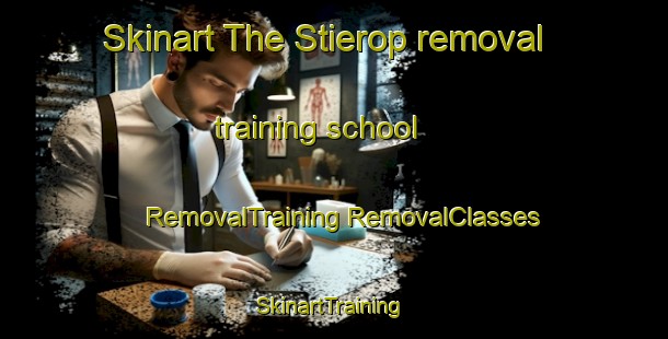 Skinart The Stierop removal training school | #RemovalTraining #RemovalClasses #SkinartTraining-Netherlands