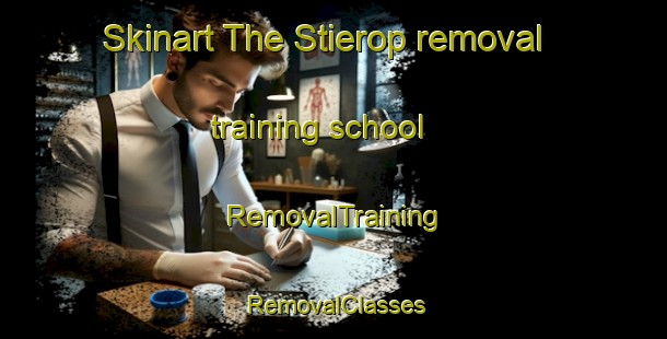 Skinart The Stierop removal training school | RemovalTraining | RemovalClasses | SkinartTraining-Netherlands