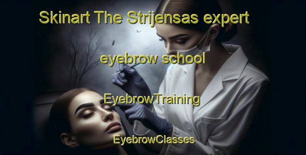 Skinart The Strijensas expert eyebrow school | EyebrowTraining | EyebrowClasses | SkinartTraining-Netherlands
