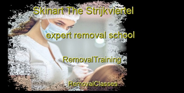 Skinart The Strijkviertel expert removal school | RemovalTraining | RemovalClasses | SkinartTraining-Netherlands