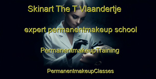 Skinart The T Vlaandertje expert permanentmakeup school | PermanentmakeupTraining | PermanentmakeupClasses | SkinartTraining-Netherlands