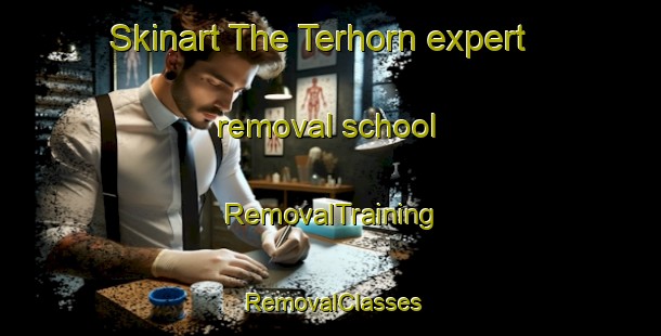 Skinart The Terhorn expert removal school | RemovalTraining | RemovalClasses | SkinartTraining-Netherlands