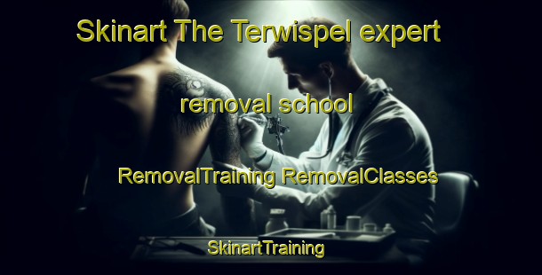 Skinart The Terwispel expert removal school | #RemovalTraining #RemovalClasses #SkinartTraining-Netherlands