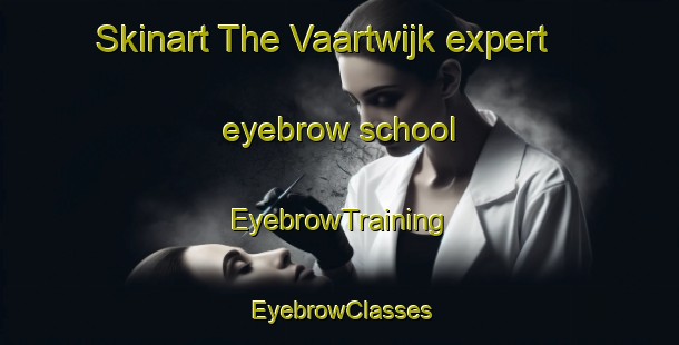 Skinart The Vaartwijk expert eyebrow school | EyebrowTraining | EyebrowClasses | SkinartTraining-Netherlands