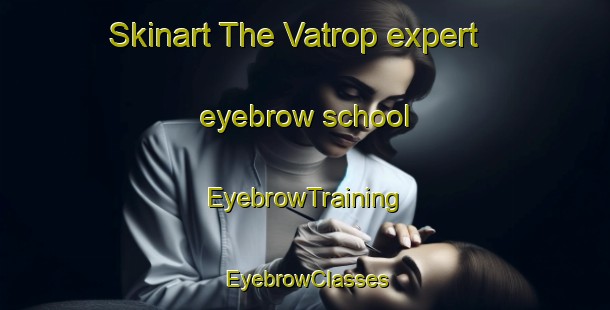 Skinart The Vatrop expert eyebrow school | EyebrowTraining | EyebrowClasses | SkinartTraining-Netherlands